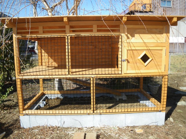 ウサギ小屋完成 ポロニアハウス